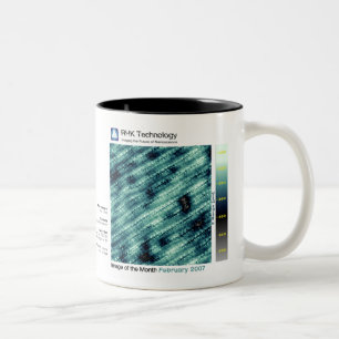 Februar 2007 - RHK Technologie: Bild des Monats Zweifarbige Tasse