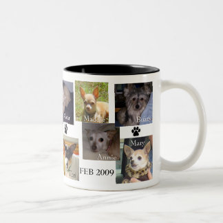 FEBRUAR 2009 HUNDE ZWEIFARBIGE TASSE