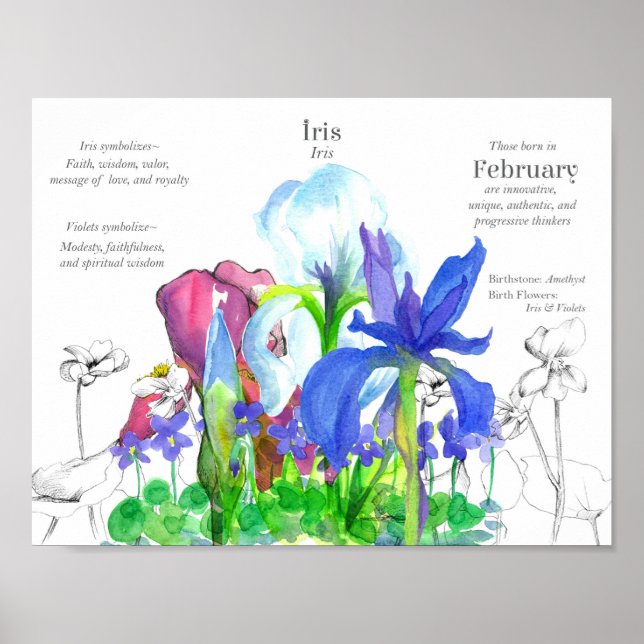 Februar Geburtstag Iris Geburtsmonat Blume Violets Poster (Vorne)