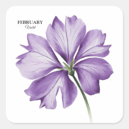 Februar Geburtstagsfeier Blume: Violett Personalis Quadratischer Aufkleber