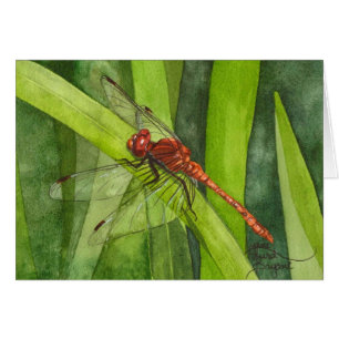 Februar-Libelle