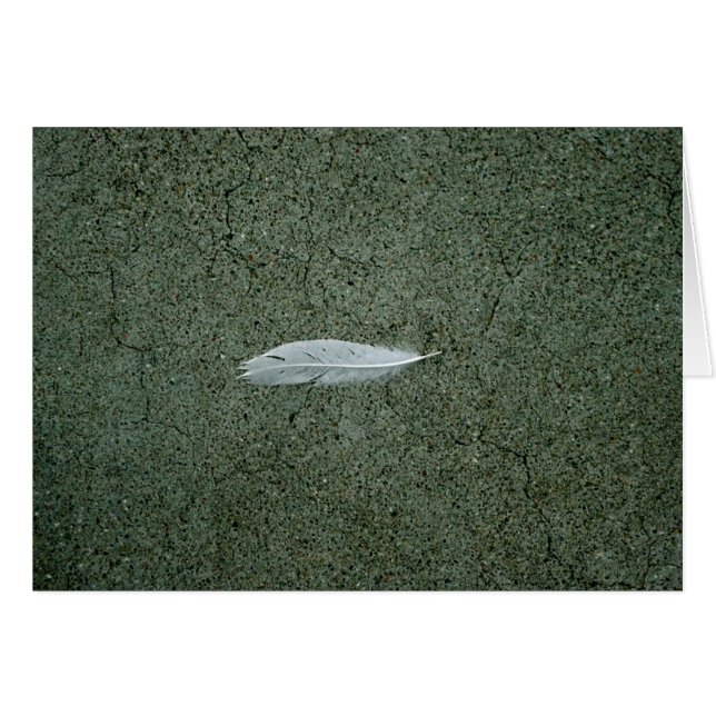 Feder (Vorderseite (Horizontal))