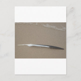 Feder Postkarte