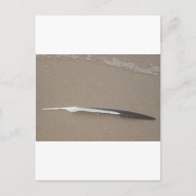 Feder Postkarte (Vorderseite)