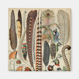 Feder-Vogel-Wildlife-Antike-Federn Magnet