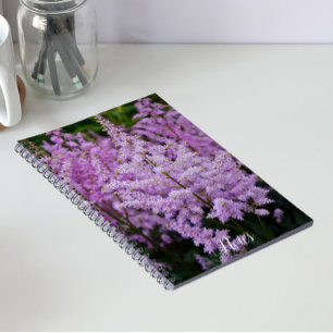 Federartige rosa Astilbe-Federn Blumen Notizblock