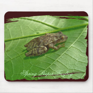 Federhalter (Pseudacris-Kreuzleger) Treefrog-Eleme Mousepad
