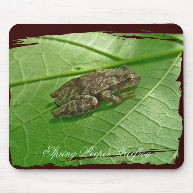 Federhalter (Pseudacris-Kreuzleger) Treefrog-Eleme Mousepad (Vorne)