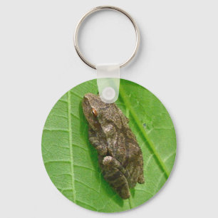 Federhalter (Pseudacris-Kreuzleger) Treefrog-Eleme Schlüsselanhänger