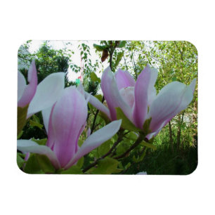 Federlicht lila magnolische Blume Magnet