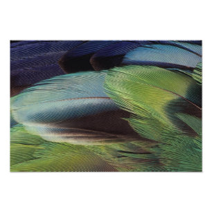 Federmuster Fotodruck