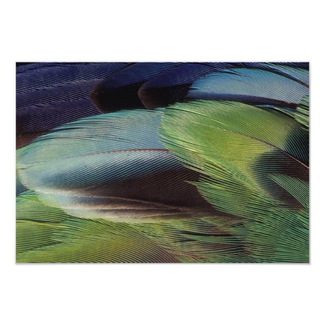 Federmuster Fotodruck (Vorne)