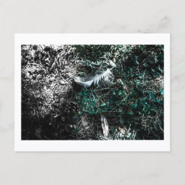 Federn im Wald von Jeffrey H. Thornton: Postkarte