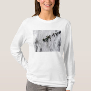 Federn von Okmok Vulkan, Aleuten T-Shirt