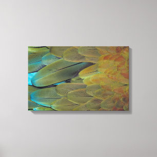 Federoberfläche 3 leinwanddruck