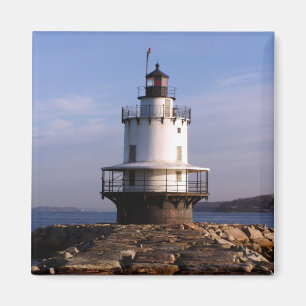 Federpunktleuchte Magnet