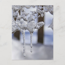 Federringe Postkarte