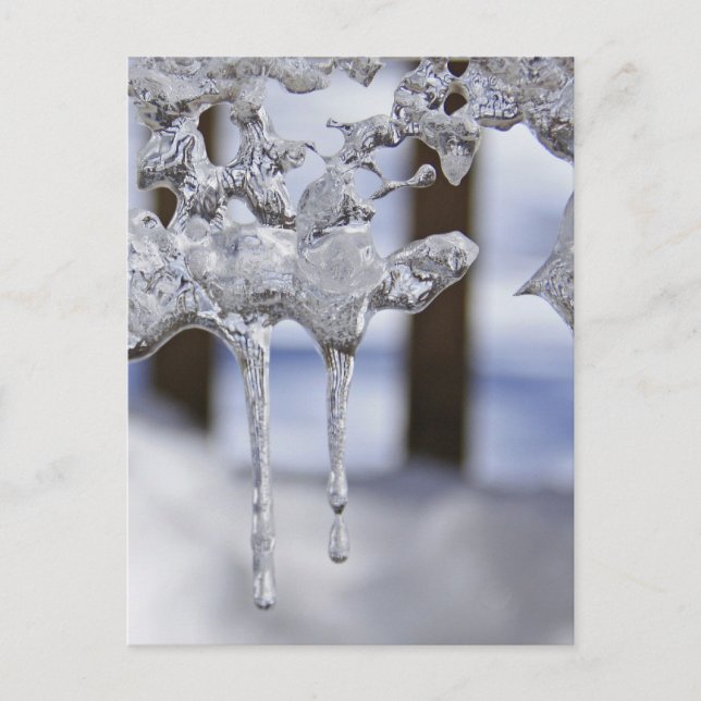 Federringe Postkarte (Vorderseite)