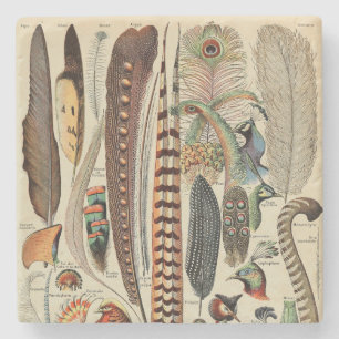 Federvogel-Wildlife-Antike-Federn Steinuntersetzer