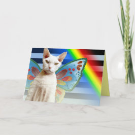 Fée Casper Rainbow | Carte d'anniversaire du chat 