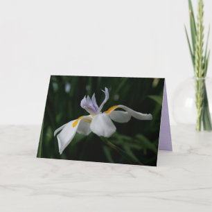 "Fee Iris" GREETING CARD Karte