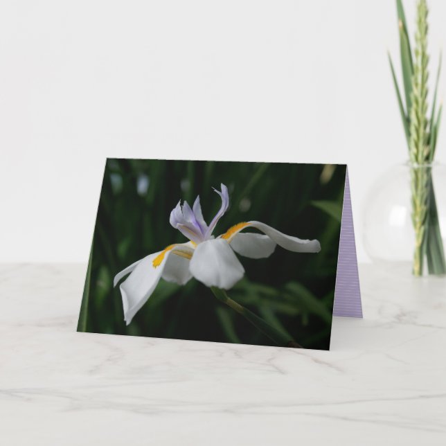 "Fee Iris" GREETING CARD Karte (Vorderseite)