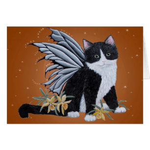 Fée noire et blanche Kitten