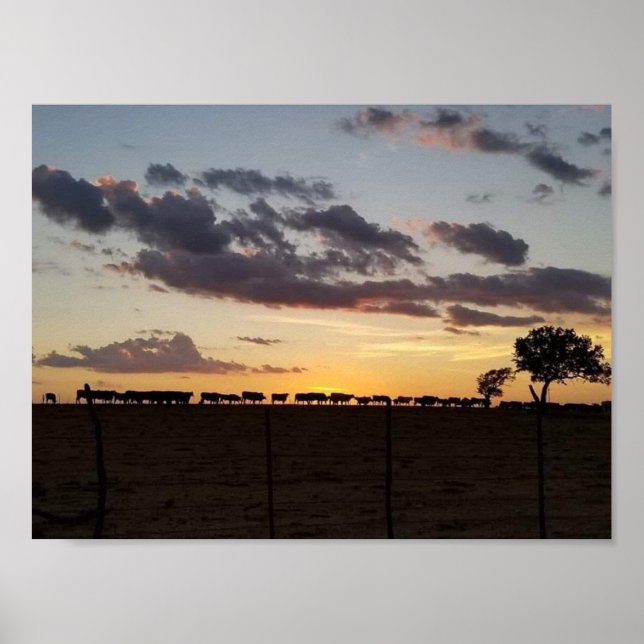 Feed Time Poster (Vorne)