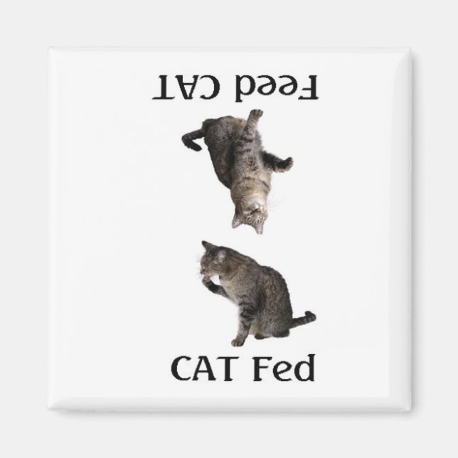 FeedTheCat Magnet (Vorne)