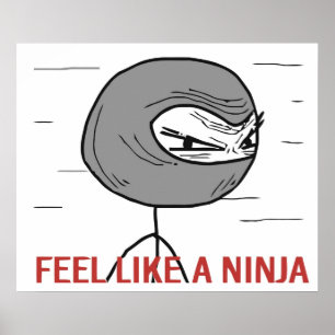 Feel Like A Ninja Poster