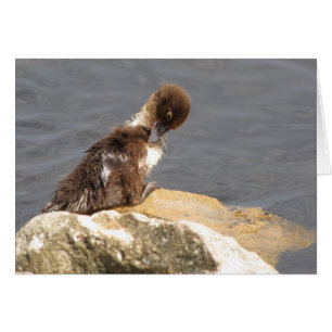 Feelin' Ducky - Duckkking Get Well Card