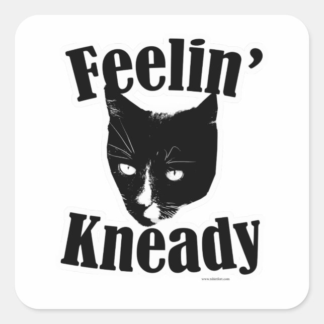 Feelin Kneady Funny Cat Niedliches Foto Slogan Quadratischer Aufkleber (Vorderseite)