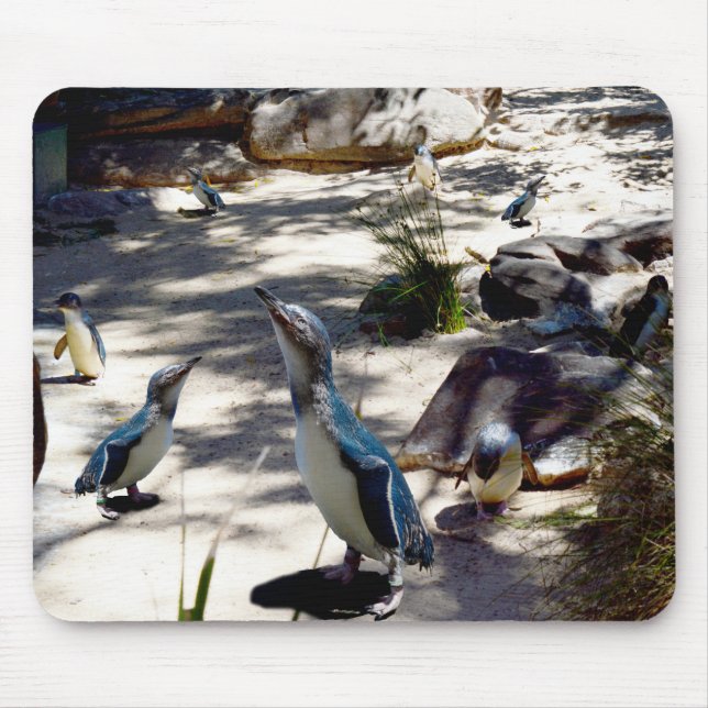 Feen-Pinguin-Paradies, Mousepad (Vorne)
