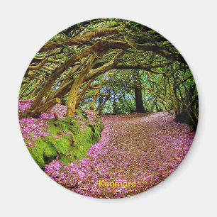 Feenhafter Tunnel, Kenmare Magnet