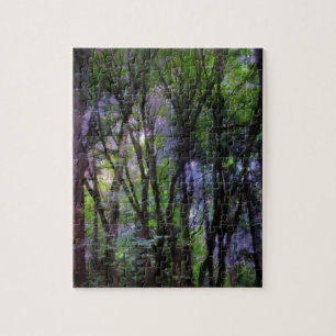Feenlichter Surrealer Wald