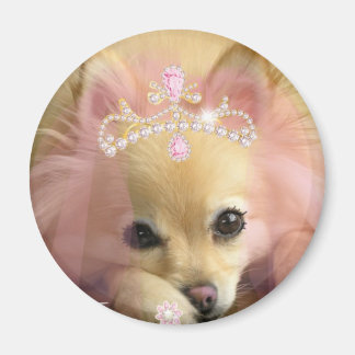 Feenprinzessin mit Diamantkrone Magnet