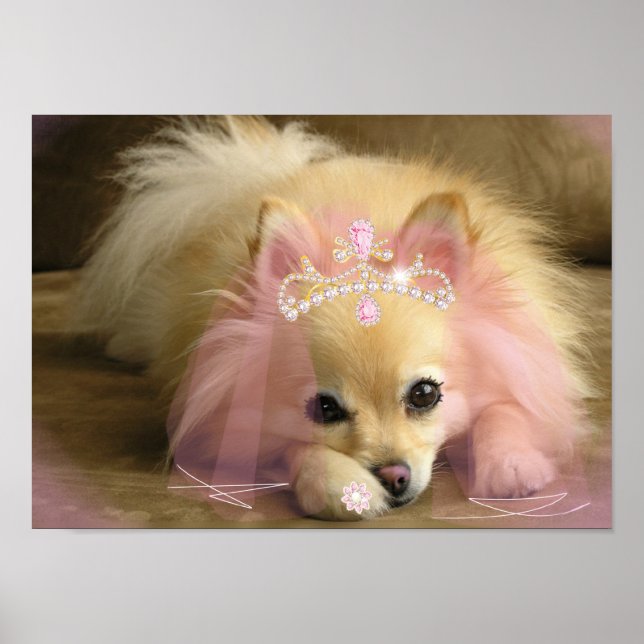 Feenprinzessin mit Diamantkrone Poster (Vorne)