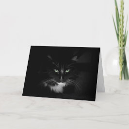 Feenschwarze Katze Karte