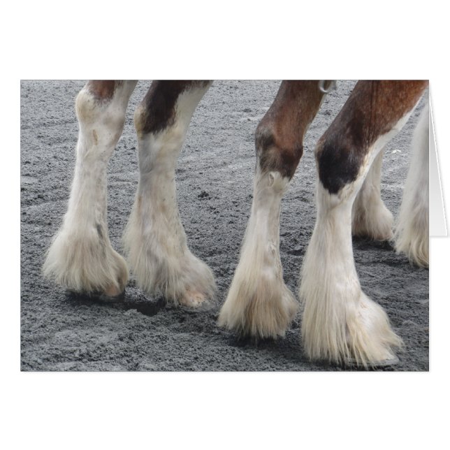 Feet mit Feder (unbedruckte Innenseite) (Vorderseite (Horizontal))