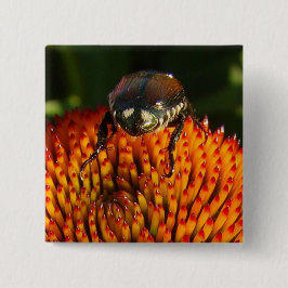 Fehler bei der Blume Button