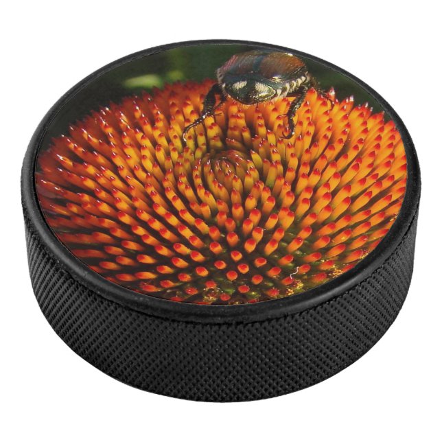Fehler bei der Blume Eishockey Puck (3/4)