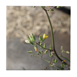 Fehler bei der Blume Fliese