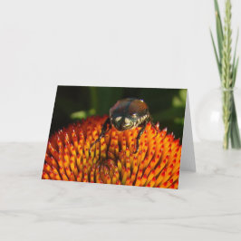 Fehler bei der Blume Karte