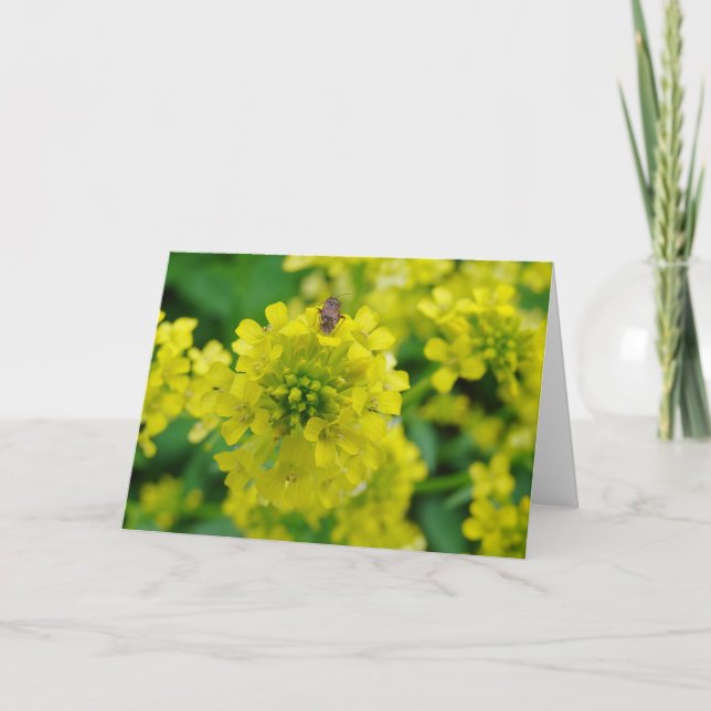 Fehler bei der Blume Karte (Vorderseite)