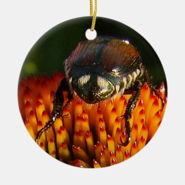 Fehler bei der Blume Keramik Ornament (Vorne)