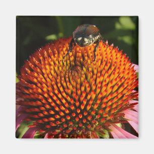 Fehler bei der Blume Magnet