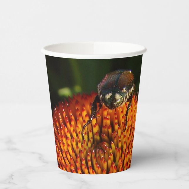 Fehler bei der Blume Pappbecher (Links)