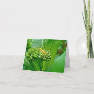 Fehlerbehandlungskarte für Meucheln Karte