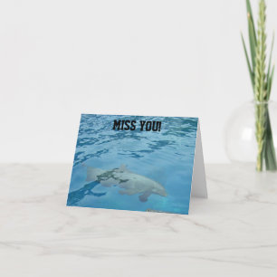 FEHLT IHNEN DIE SCHWIMMKARTE DOLPHIN KARTE
