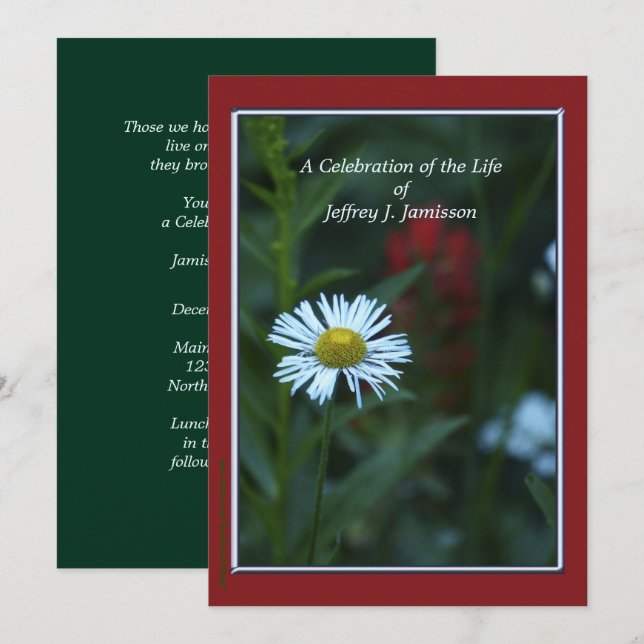 Feier der Invitation des Lebens, weiße Wildblume Einladung (Vorne/Hinten)